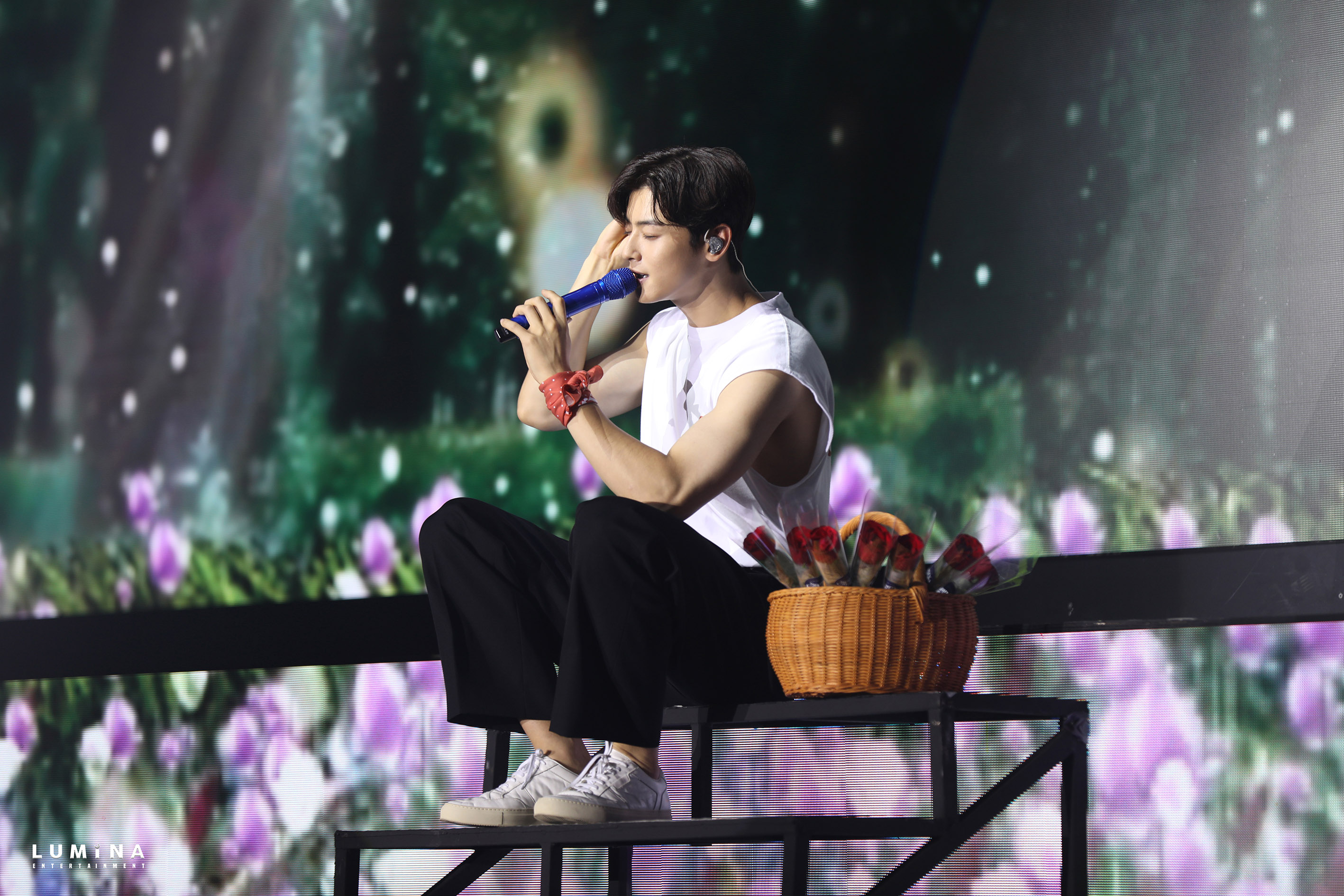 uploads/article/2022/08/cha-eun-woo-sapa-8cda81fc7a.jpg